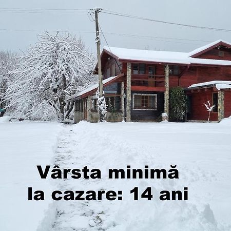 Вилла Casa Bunicului Vistisoara Экстерьер фото