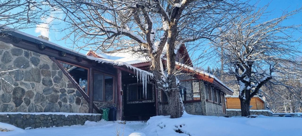 Вилла Casa Bunicului Vistisoara Экстерьер фото