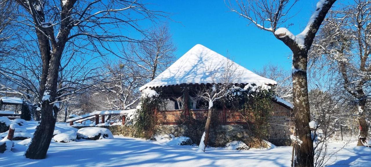 Вилла Casa Bunicului Vistisoara Экстерьер фото