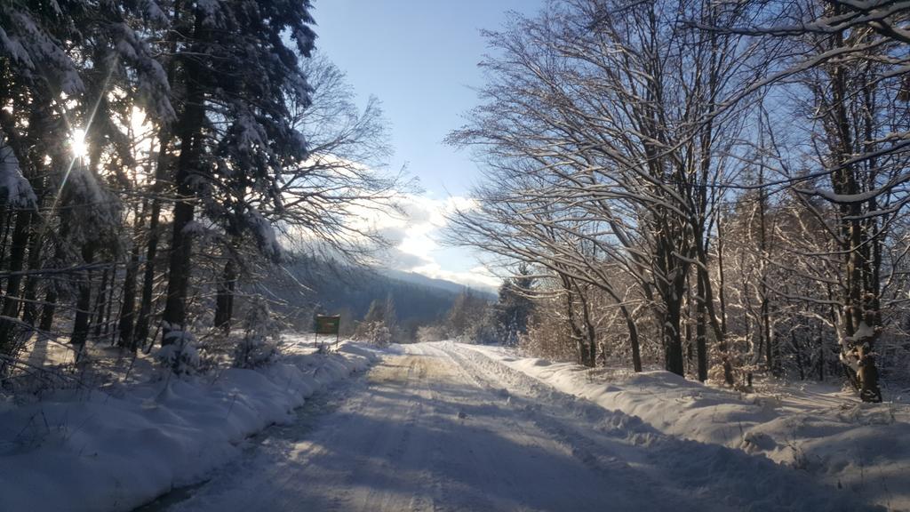 Вилла Casa Bunicului Vistisoara Экстерьер фото