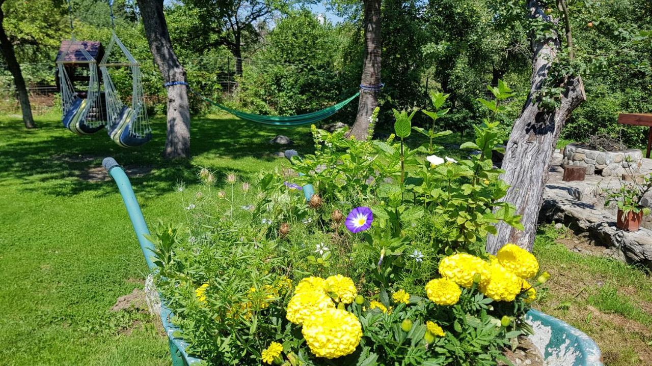 Вилла Casa Bunicului Vistisoara Экстерьер фото