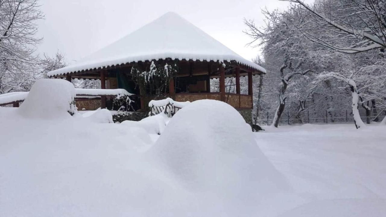 Вилла Casa Bunicului Vistisoara Экстерьер фото